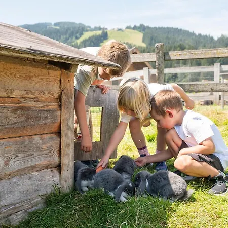 Hotel apartamentowy Stadler Flachau