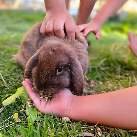 Hotel apartamentowy Stadler Flachau