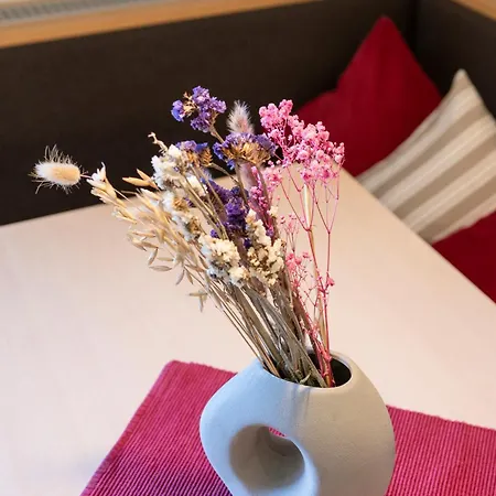 Stadler Hotel apartamentowy Flachau