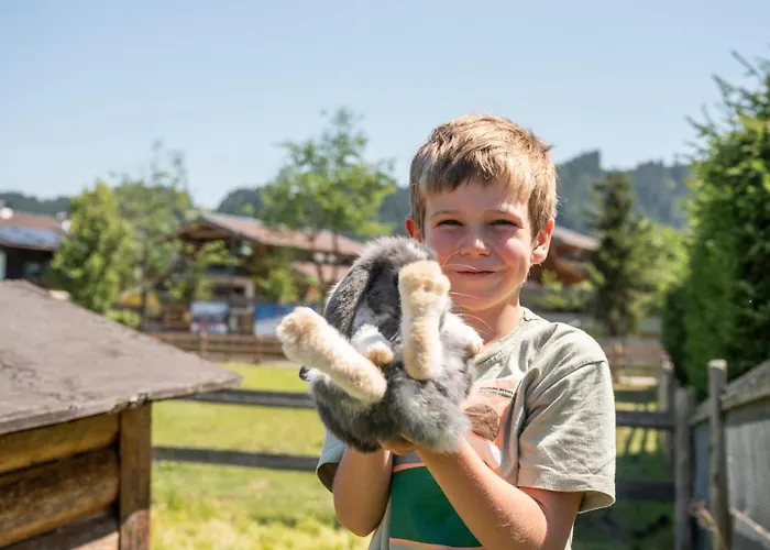 Hotel apartamentowy Stadler 3*