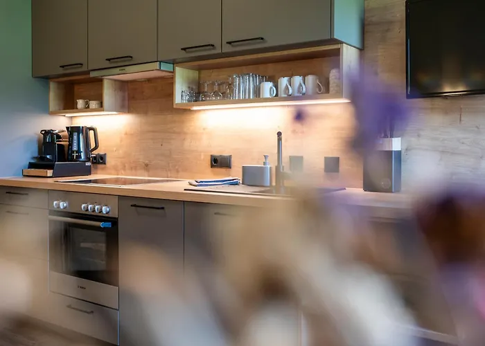 Hotel apartamentowy Stadler Flachau